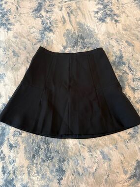 J. Crew Black Circle Skirt